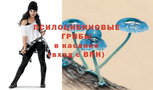 тгк Богданович