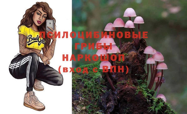 амф Бронницы