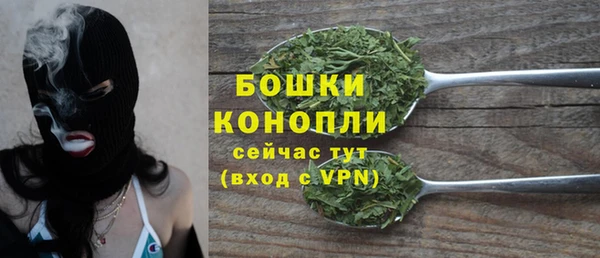 тгк Богданович