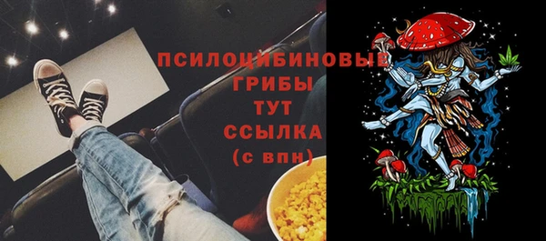 амф Бронницы